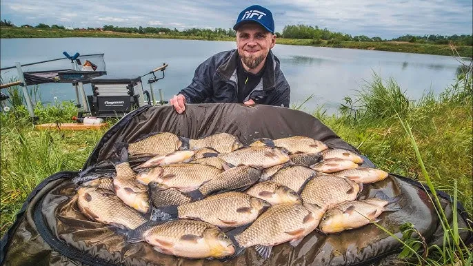Jak rozmnażają się karasie? Odkryj sekrety ich tarła i hodowli