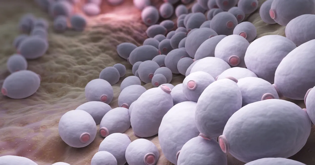 Jak skutecznie poddać się kandydozie? Metody i interpretacja