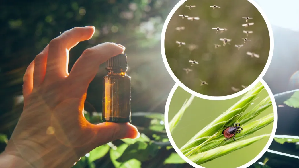 Czy perfumy odstraszają komary? Odkryj skuteczne zapachy, które pomagają