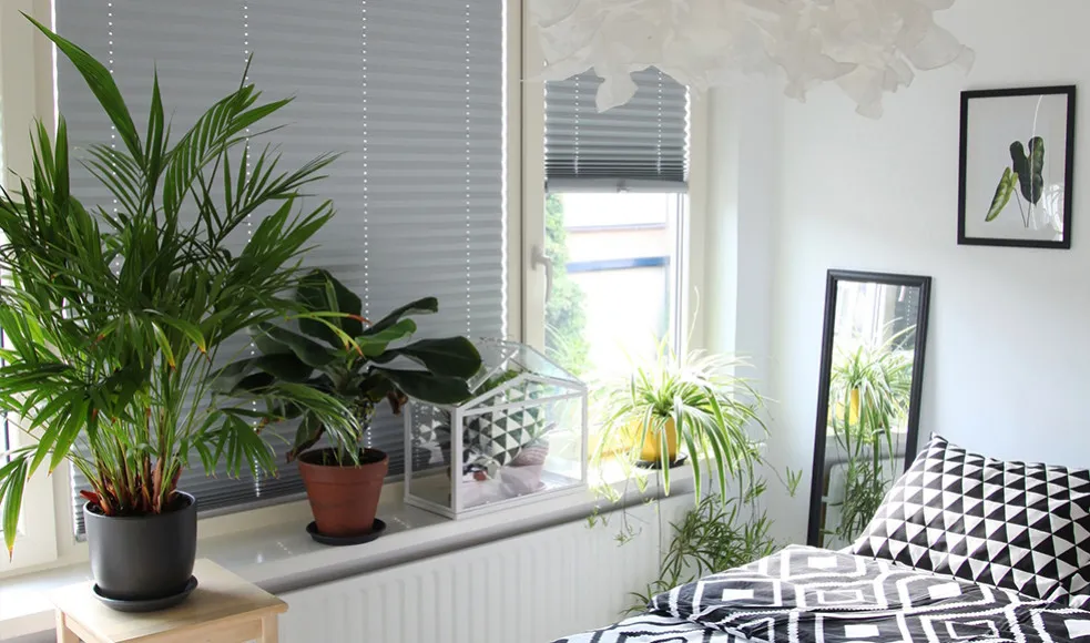 Skuteczne sposoby na to, czym zasłonić okno od słońca i uniknąć upałów