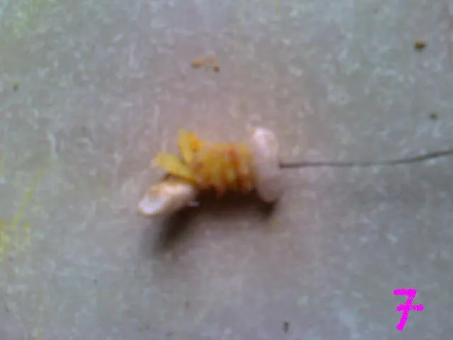 Jak założyć makaron na haczyk? Skuteczny sposób na ryby