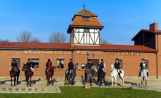 Stadnina koni Nowęcin: najlepsze jazdy konne i obozy jeździeckie Stadnina koni Nowęcin: najlepsze jazdy konne i obozy jeździeckie
