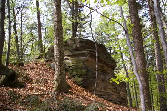 Rezerwat przyrody Herby: Odkryj unikalną florę i faunę tego miejsca