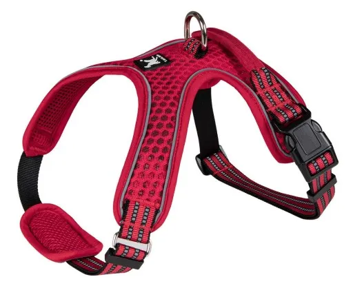 Szelki czy obroża dla maltańczyka: co zapewnia większe bezpieczeństwo?