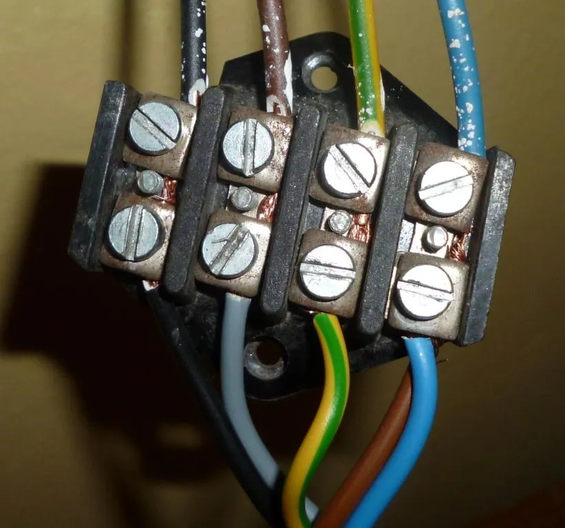 Jaki kabel do płyty indukcyjnej? Uniknij kosztownych błędów przy wyborze