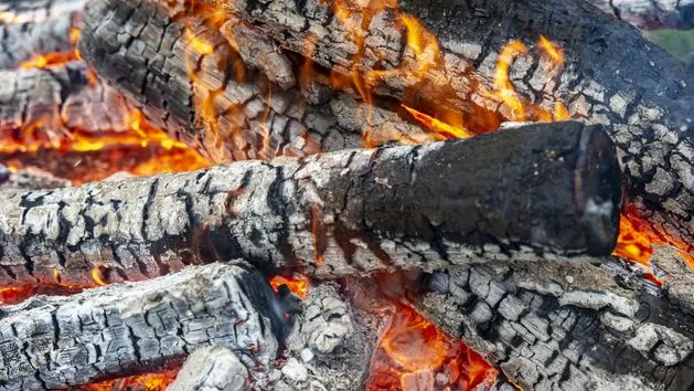 Palenie śmieci jaki artykuł? Poznaj kary i przepisy prawne