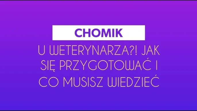 Czy z chomikiem chodzi się do weterynarza i co powinieneś wiedzieć?