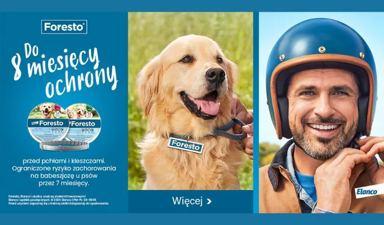 Gdzie kupić obrożę Foresto? Sprawdź najlepsze oferty online