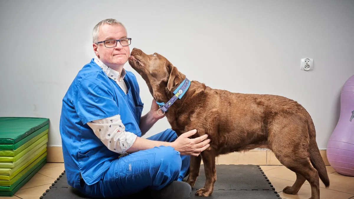 Czy weterynarz może wypisać receptę dla człowieka? Sprawdź prawdę