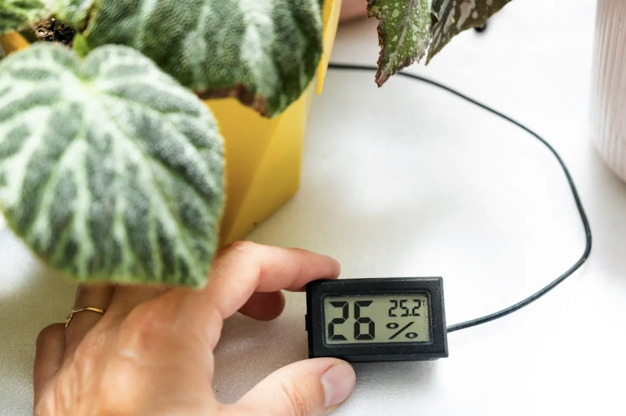 Zbyt suche powietrze – objawy i przyczyny