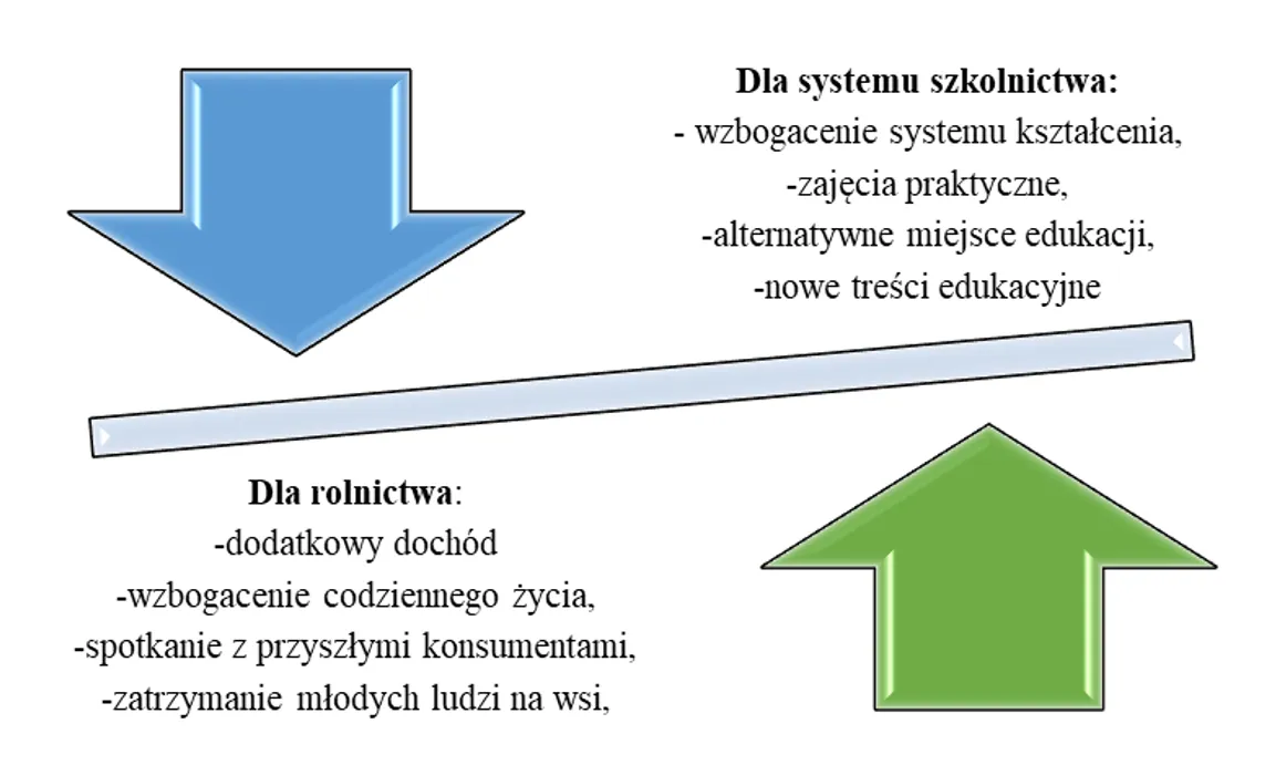 Zagroda edukacyjna: Jak założyć i odnieść sukces? Kompletny poradnik