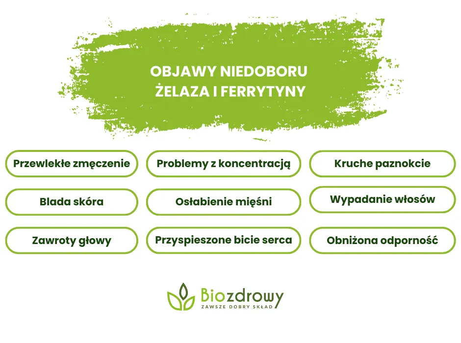 Objawy niskiej ferrytyny: Czy masz cichy niedobór żelaza?