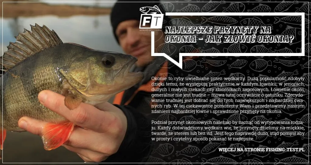 Najlepsze przynęty na okonia: przewodnik po wyborze i łowieniu