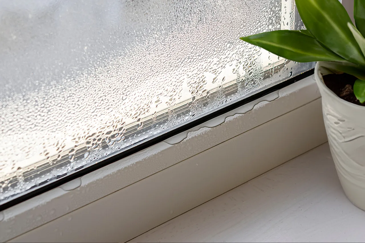 Dlaczego pocą się okna? Oto przyczyny i skuteczne rozwiązania