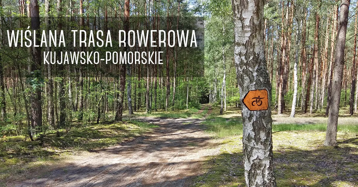 Najlepsze trasy rowerowe kujawsko-pomorskie, które musisz poznać