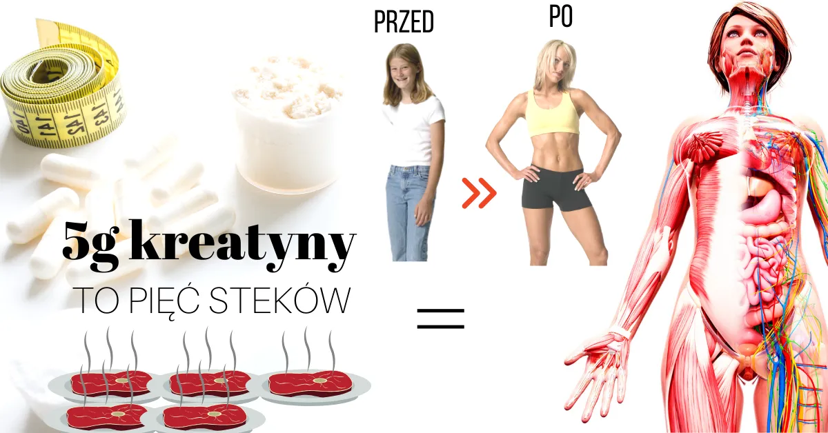 Czy kreatyna to suplement diety? Poznaj jej korzyści i skutki uboczne