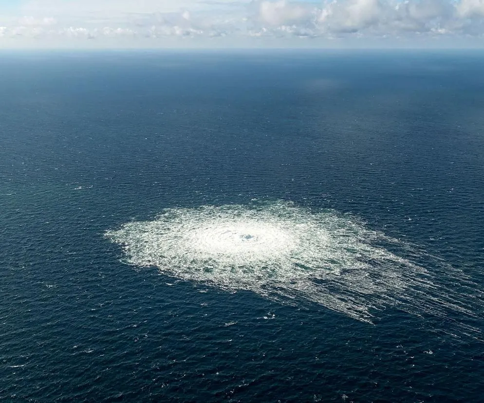 Prawda o Bałtyku: Czy jest zanieczyszczony i co to znaczy dla Ciebie?
