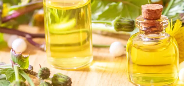 Olej z ostropestu jak zażywać: skuteczne metody i dawkowanie