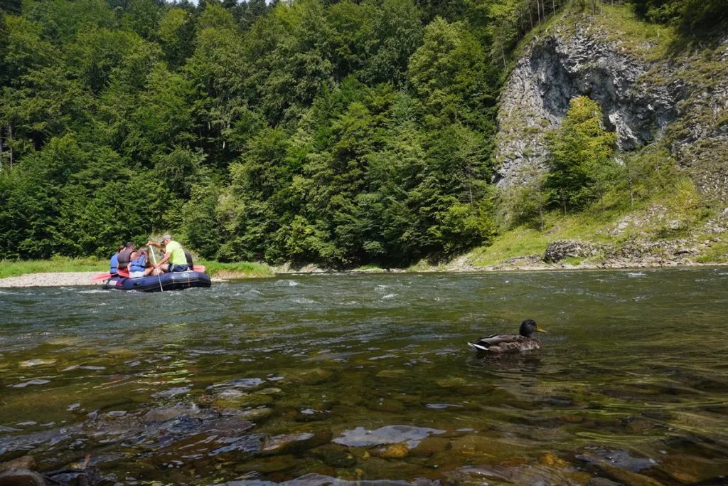 Spływ kajakowy Szczawnica – najlepsze trasy i porady dla każdego