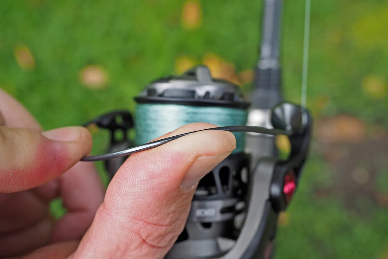 Welche Angelrolle zum Spinnfischen: Die besten Empfehlungen und Tipps