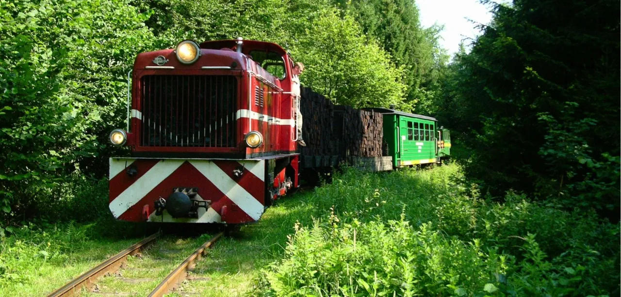 Polskie kolejki wąskotorowe: Podróż w czasie i praktyczny przewodnik