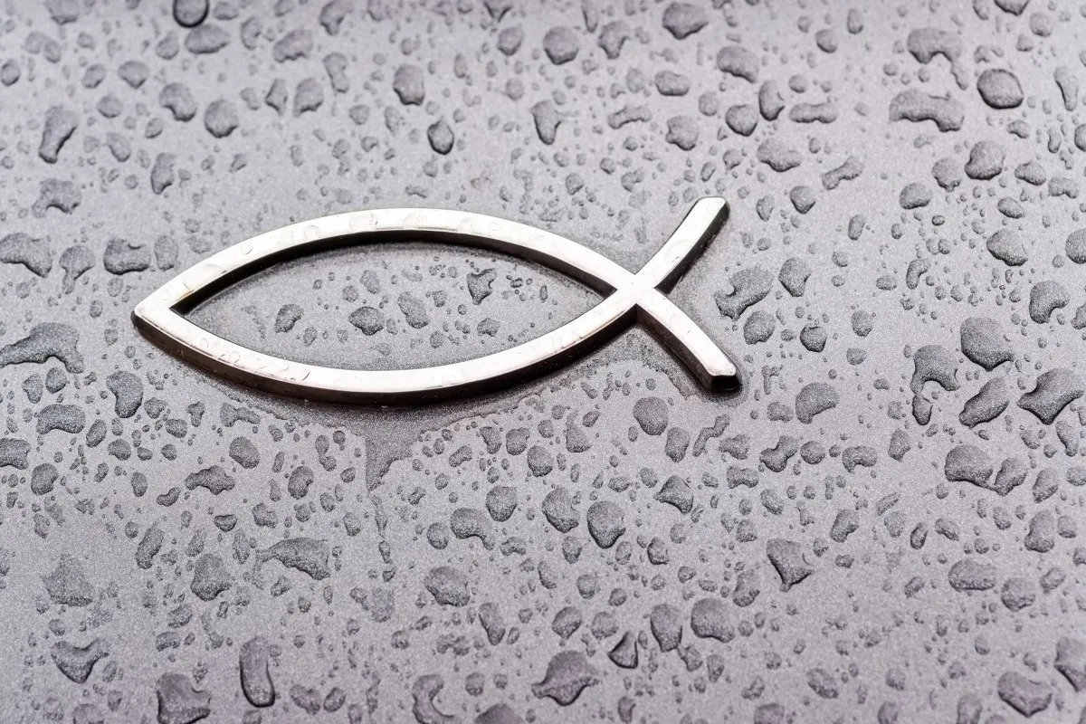 Co oznacza ryba na samochodzie? Zaskakujące znaczenie symbolu