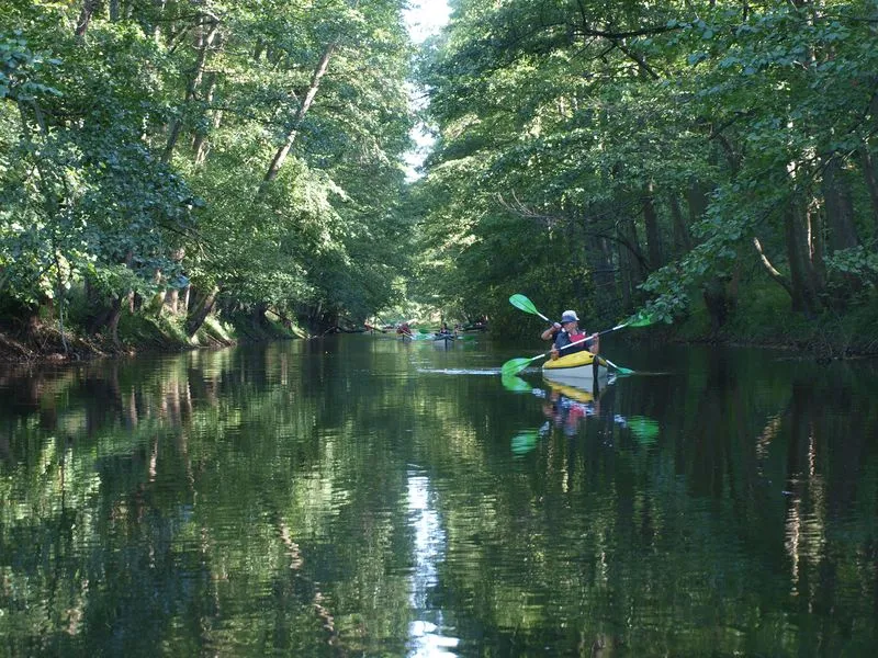 Spływ kajakowy Obra: najlepsze trasy i atrakcje, które musisz znać Spływ kajakowy Obra: najlepsze trasy i atrakcje, które musisz znać