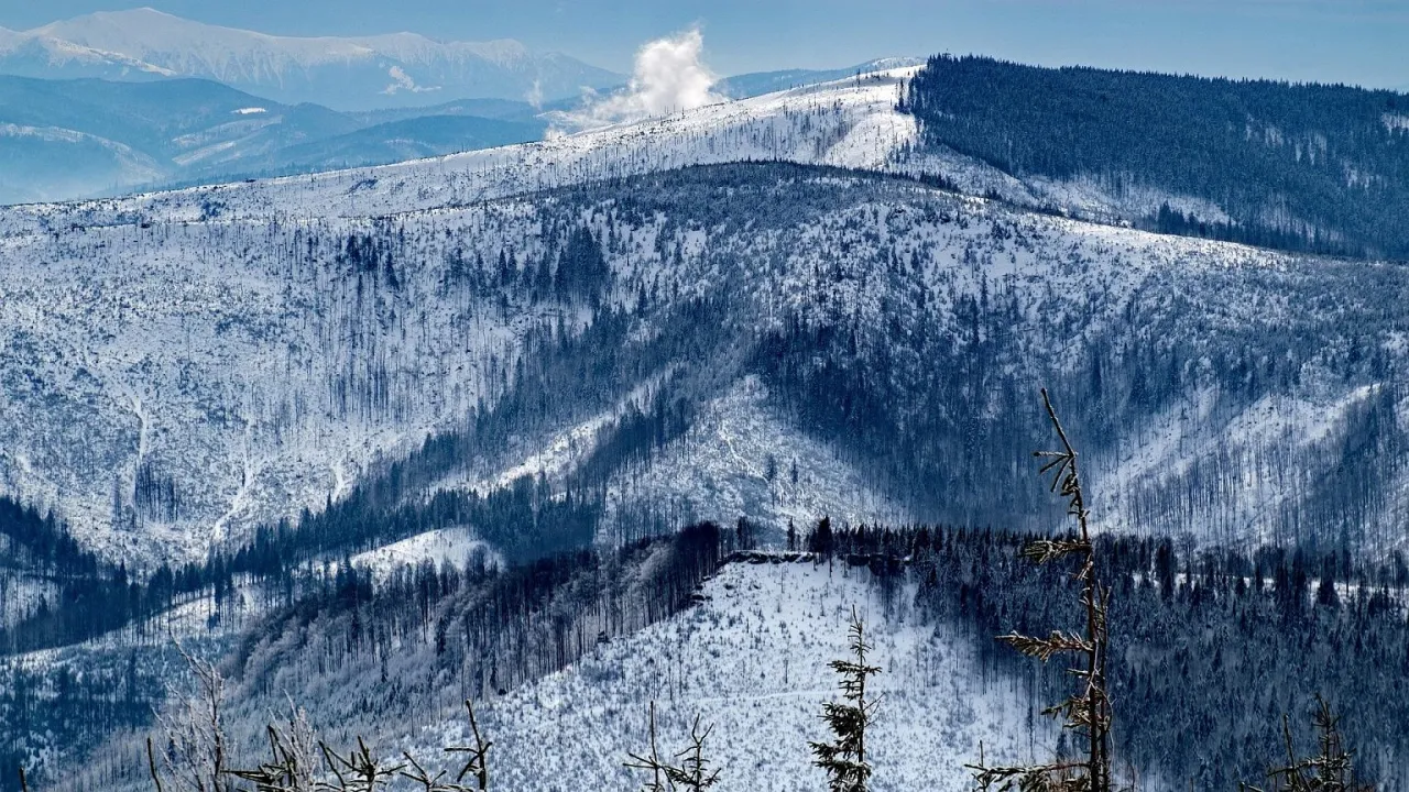 Miasta Zimowe: Zwiedzaj urokliwe miejsca w zimowej aurze