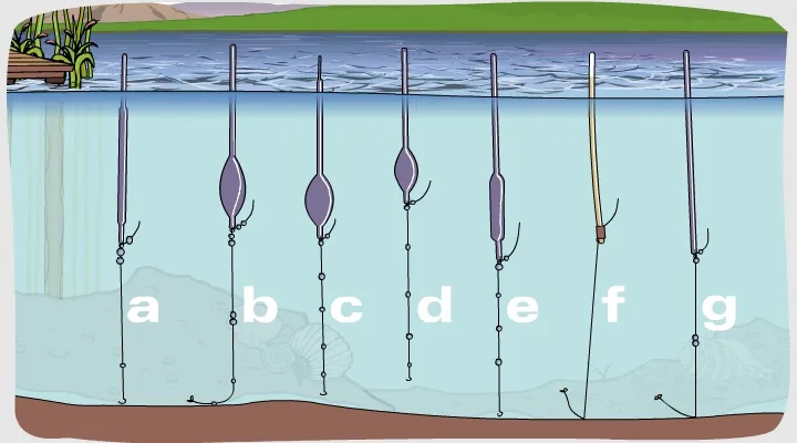 Jak dobrać spławik na żywca ile gram, aby zwiększyć skuteczność?