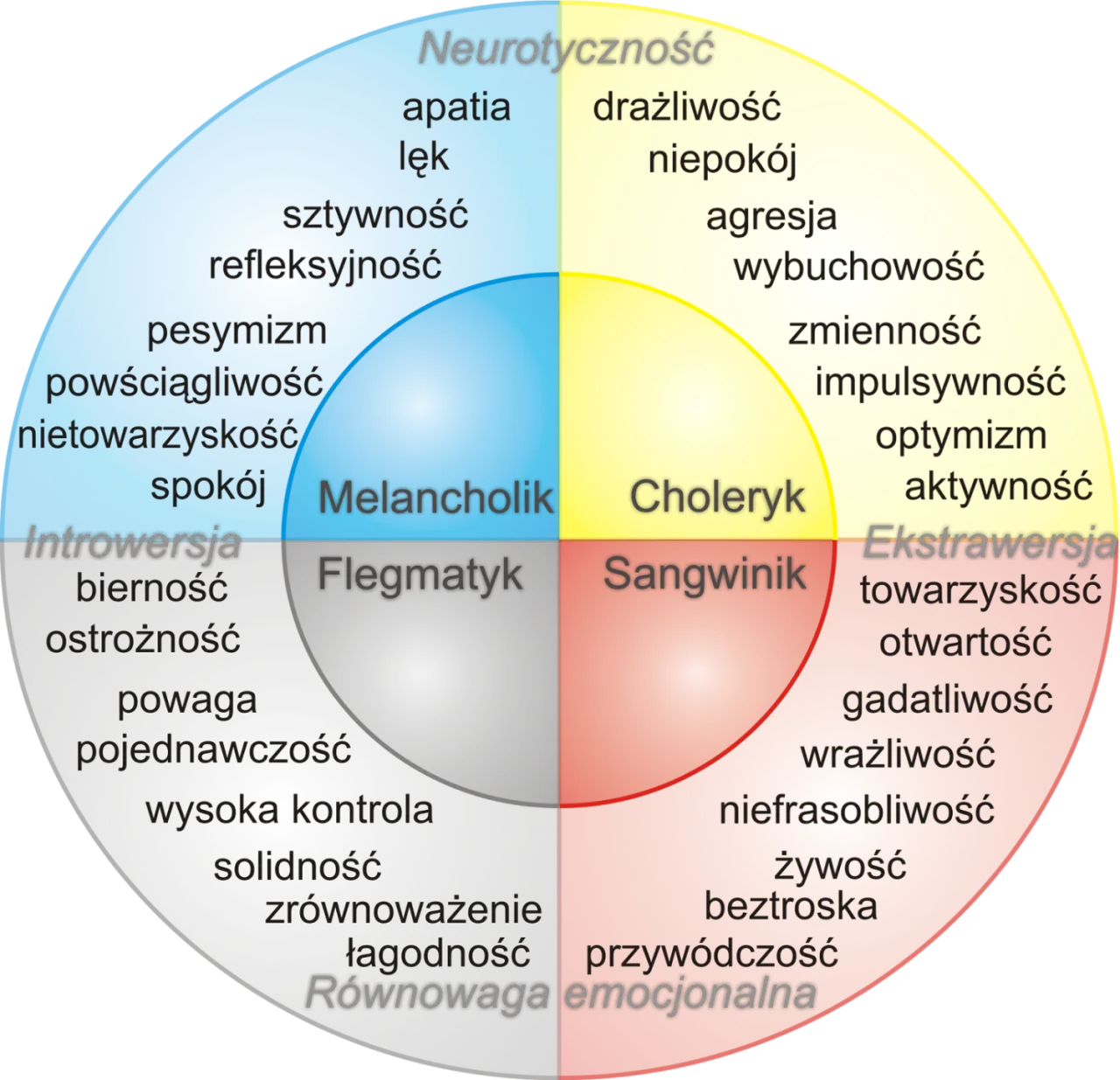 Jaki masz typ osobowości? Odkryj, co mówi o Tobie Twój wynik