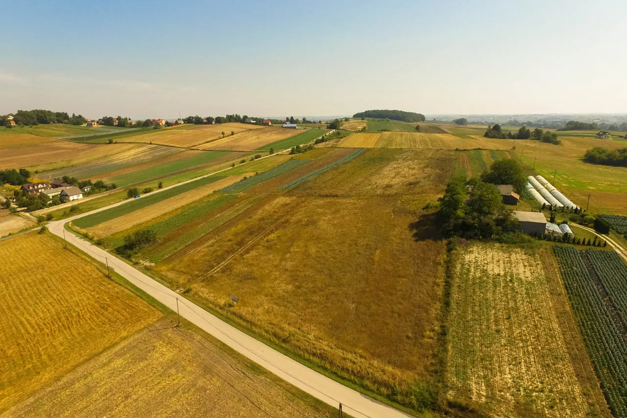Kto płaci podatek od dzierżawy gruntu? Wyjaśniamy obowiązki