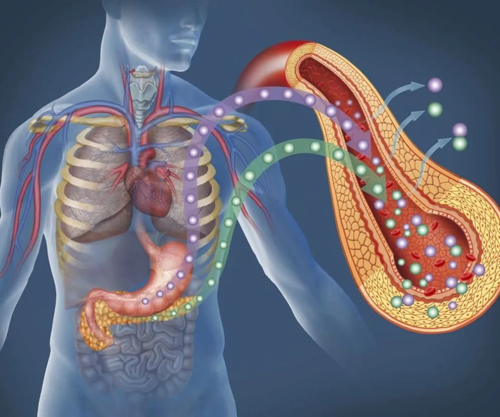 Podwyższony poziom amylazy: co może oznaczać dla zdrowia?