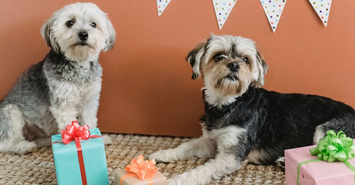 Noclegi u Polaków nad jeziorem Garda: Przewodnik po ofertach i lokalizacjach