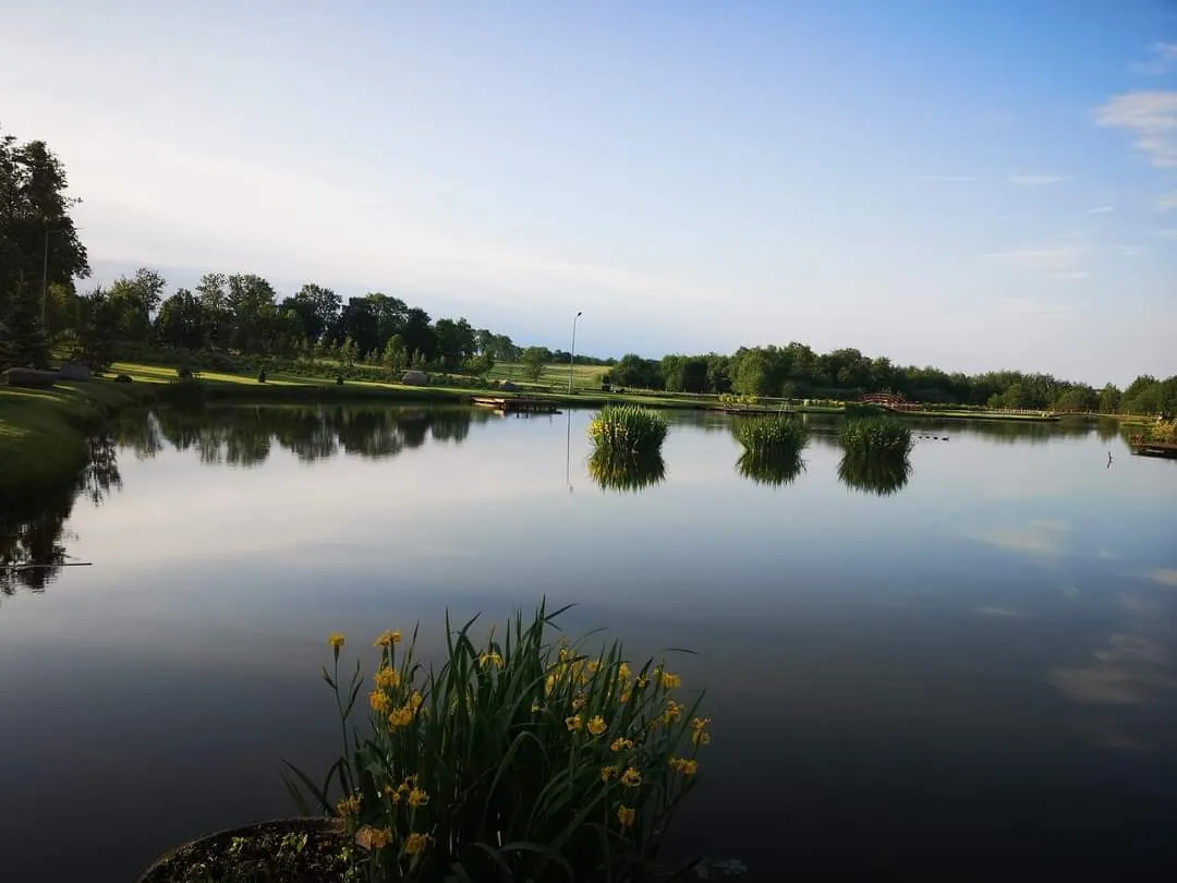 Łowisko u Wiesi - idealne miejsce na wędkowanie w Zasutowie