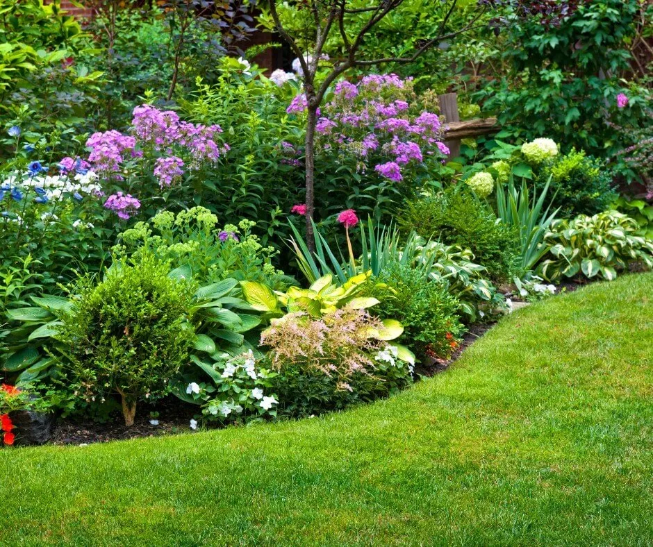 Co warto mieć w ogrodzie? Niezbędne rośliny i akcesoria, które zachwycą