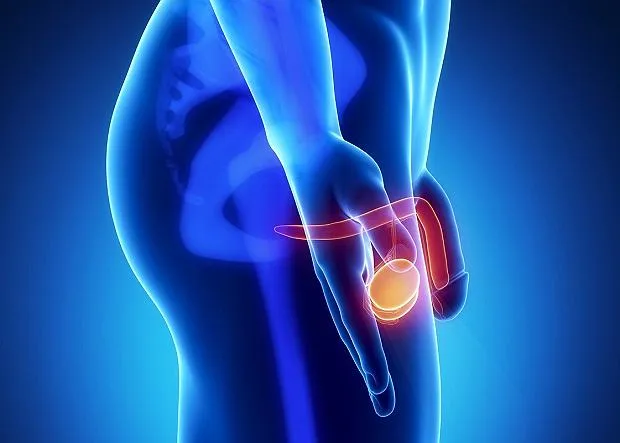 Czy mężczyzna ma jajniki? Odkryj prawdę o anatomii płciowej