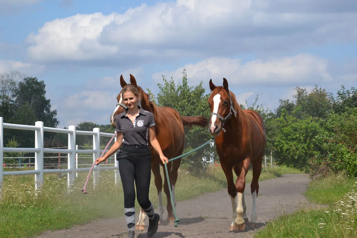 Bonanza Ciechocinek: Jazda Konna, Hipoterapia, Alpaki. Pełna oferta!