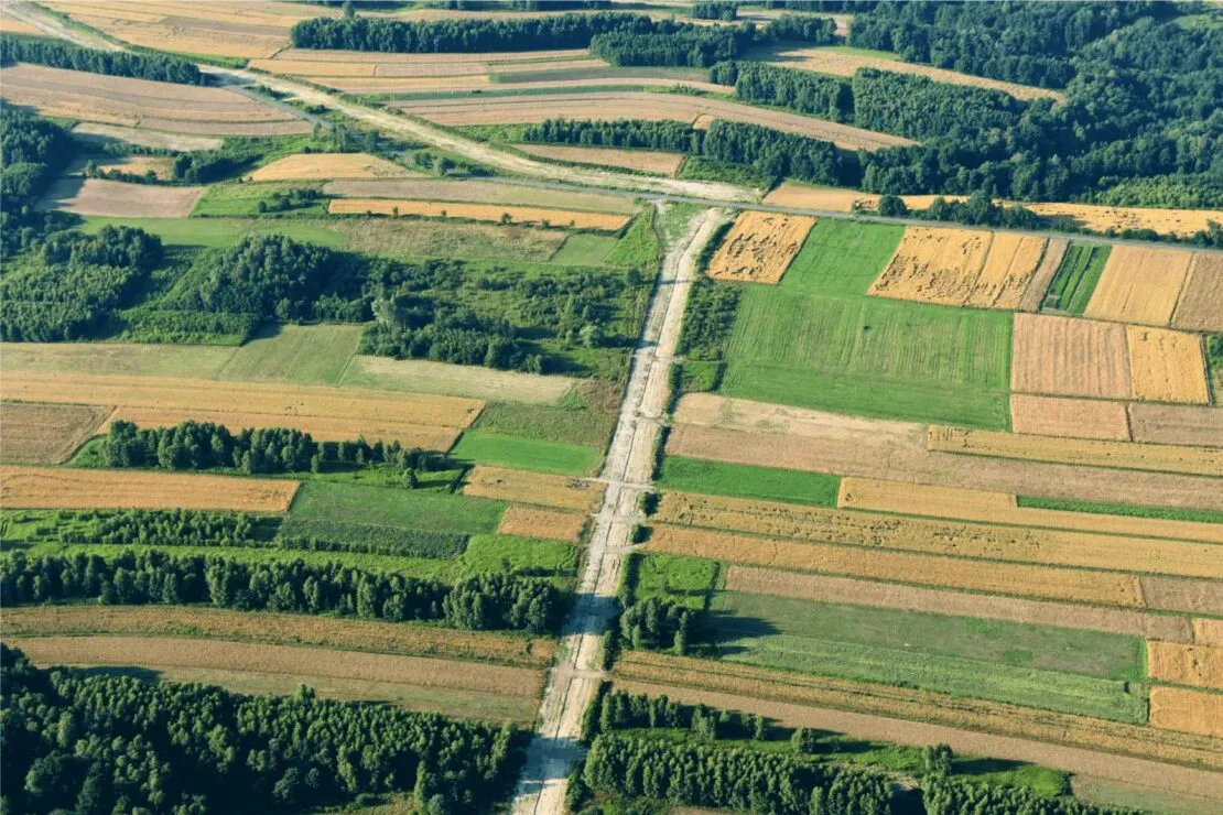 Kto może kupić działkę rolną? Zaskakujące zasady dla nie-rolników Kto może kupić działkę rolną? Zaskakujące zasady dla nie-rolników