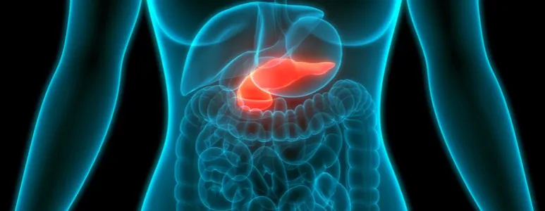 Welcher Tee ist gut für die Bauchspeicheldrüse und fördert die Gesundheit?