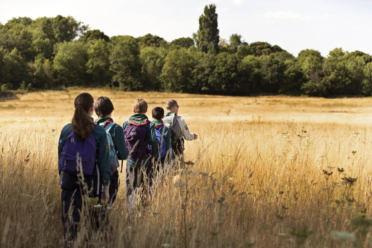 Czy nauczyciel może być wychowawcą kolonijnym bez dodatkowych kursów?