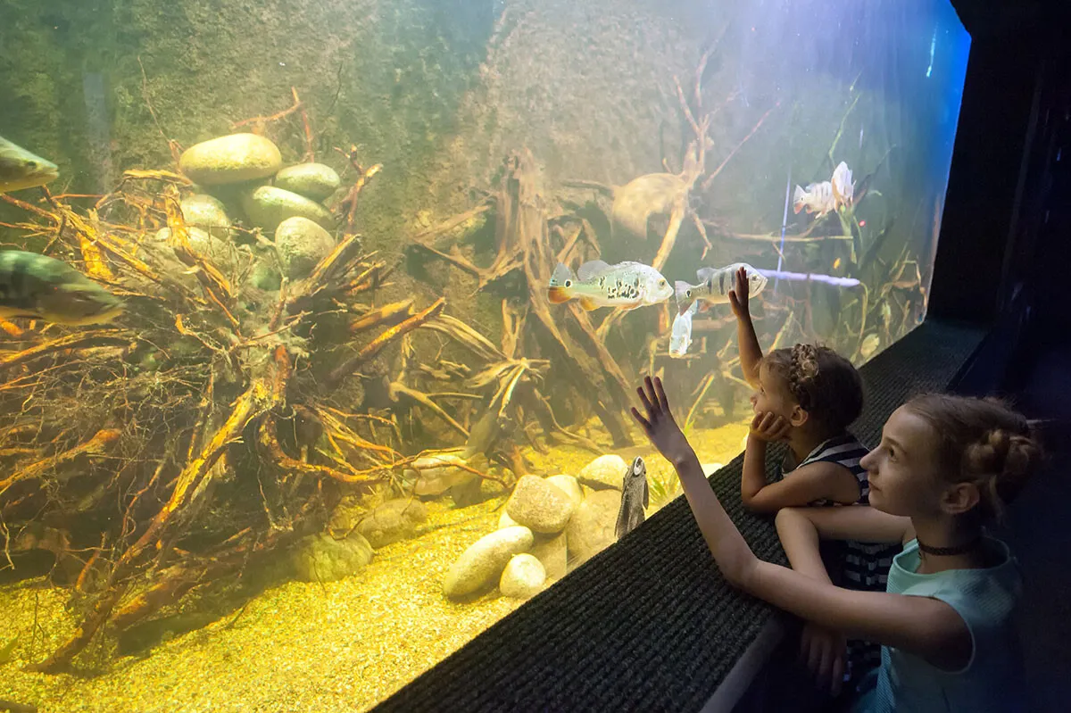Oceanarium Zagnańsk - poznaj wyjątkowe atrakcje i godziny otwarcia