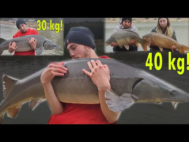 Skuteczna przynęta na jesiotra – najlepsze opcje, które działają