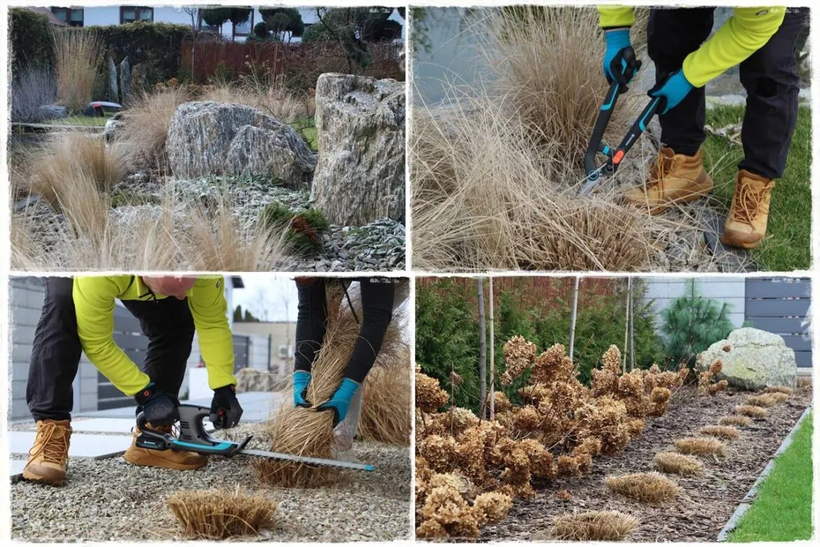 Jak przycinać trawy ozdobne? Wiosna to idealny czas!