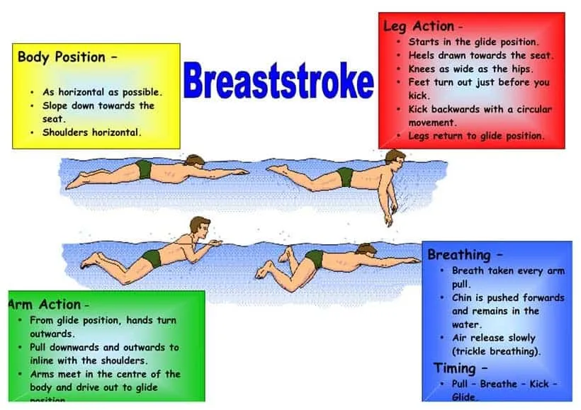 Jak szybko nauczyć się pływać żabką i uniknąć najczęstszych błędów Jak szybko nauczyć się pływać żabką i uniknąć najczęstszych błędów