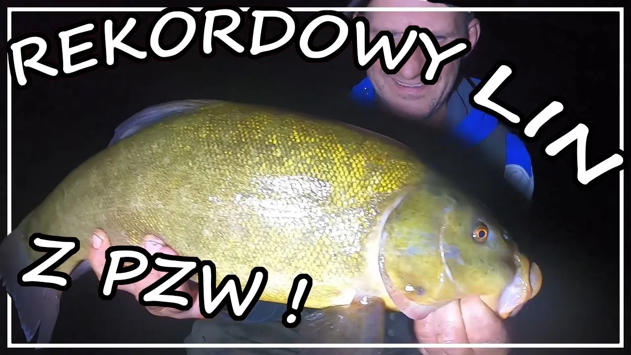 Nowy rekord polski lina: Zaskakujące osiągnięcia w wędkarstwie