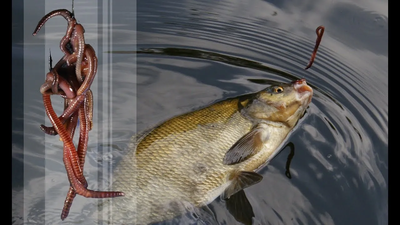 Jak zamontować haczyk do wędki, aby uniknąć utraty ryby