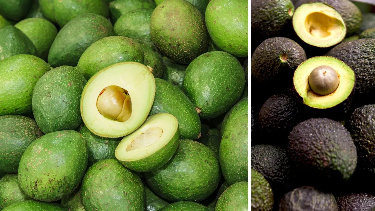 W jakim kraju rośnie awokado? Odkryj największych producentów na świecie