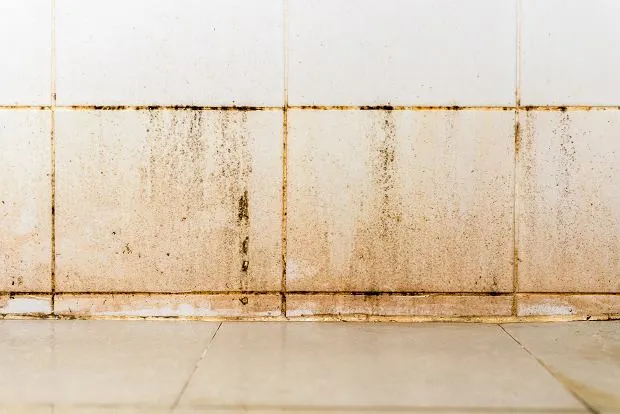 Jak wyczyścić kafelki z tłuszczu? Sprawdzone sposoby na lśniące płytki