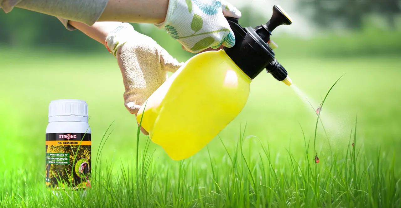 Skuteczne metody na pozbycie się kleszczy z działki i ich zagrożenia