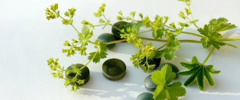 Jakie leki ziołowe na menopauzę mogą złagodzić trudne objawy?